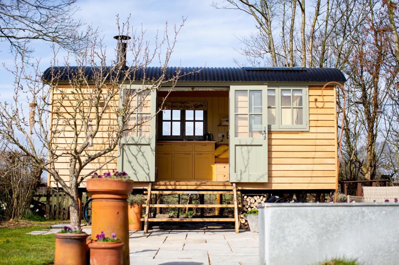 Little Plovers Shepherd Hut Villa Chichester Kültér fotó