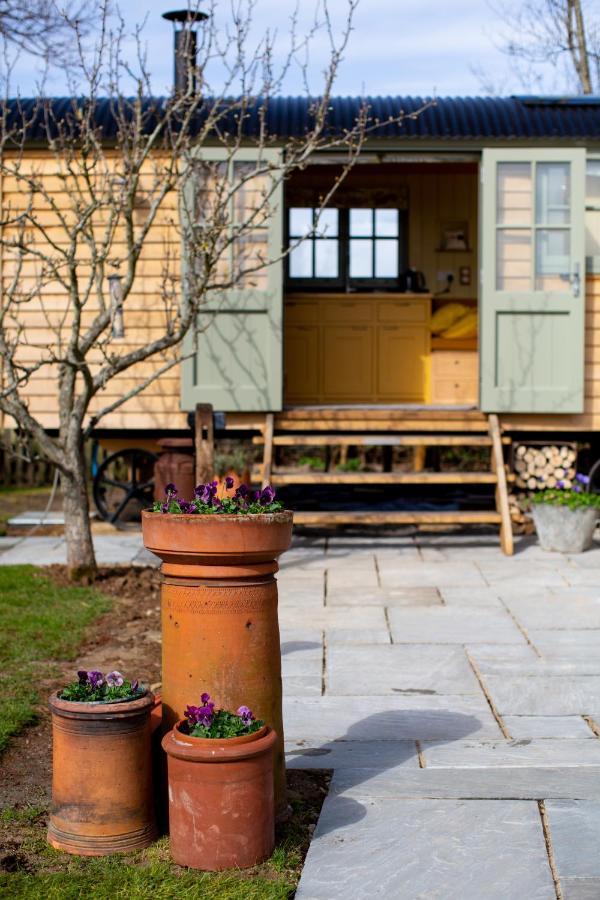 Little Plovers Shepherd Hut Villa Chichester Kültér fotó