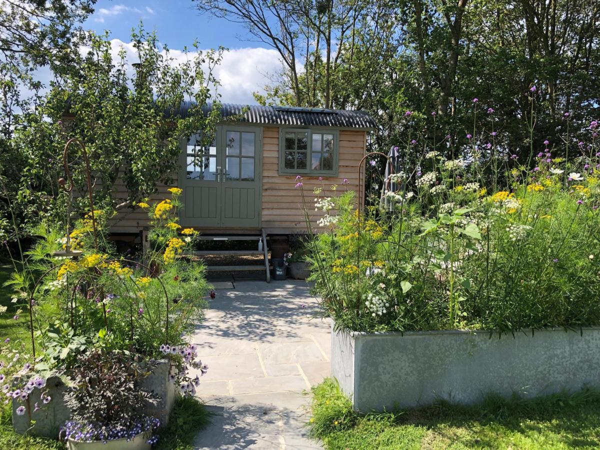 Little Plovers Shepherd Hut Villa Chichester Kültér fotó